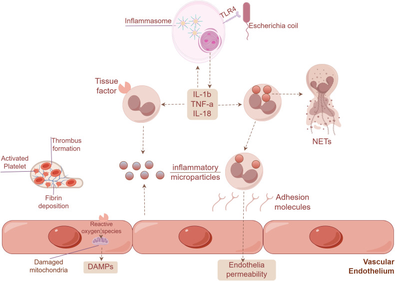 Figure 2