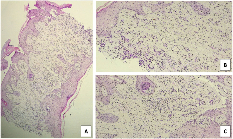 Figure 1