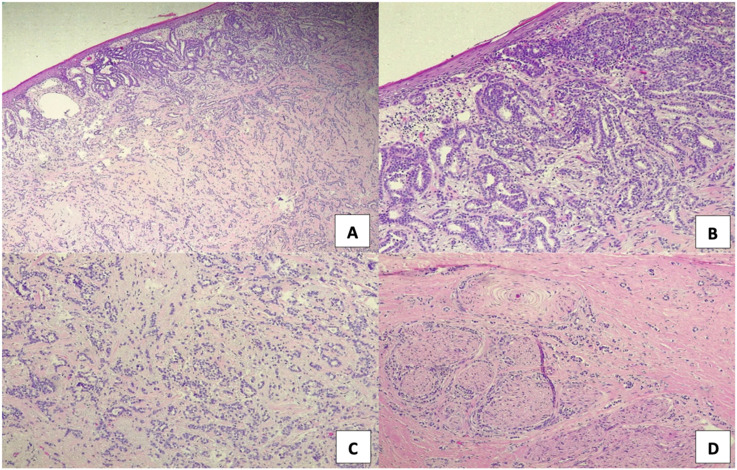 Figure 3