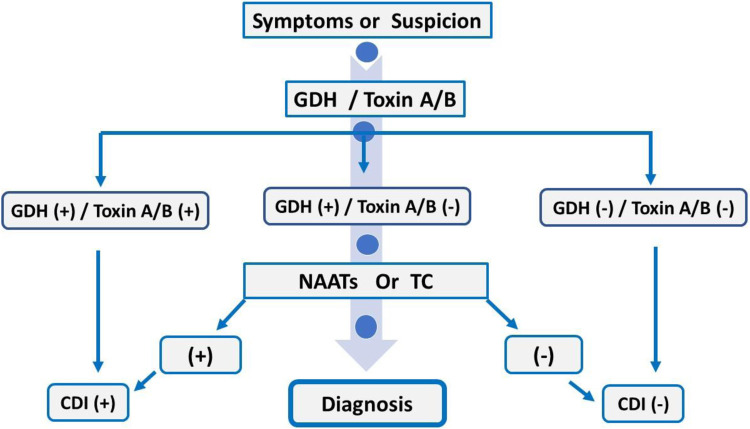Figure 2