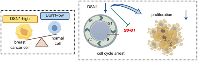 Figure 10