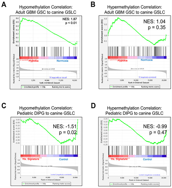 Figure 6