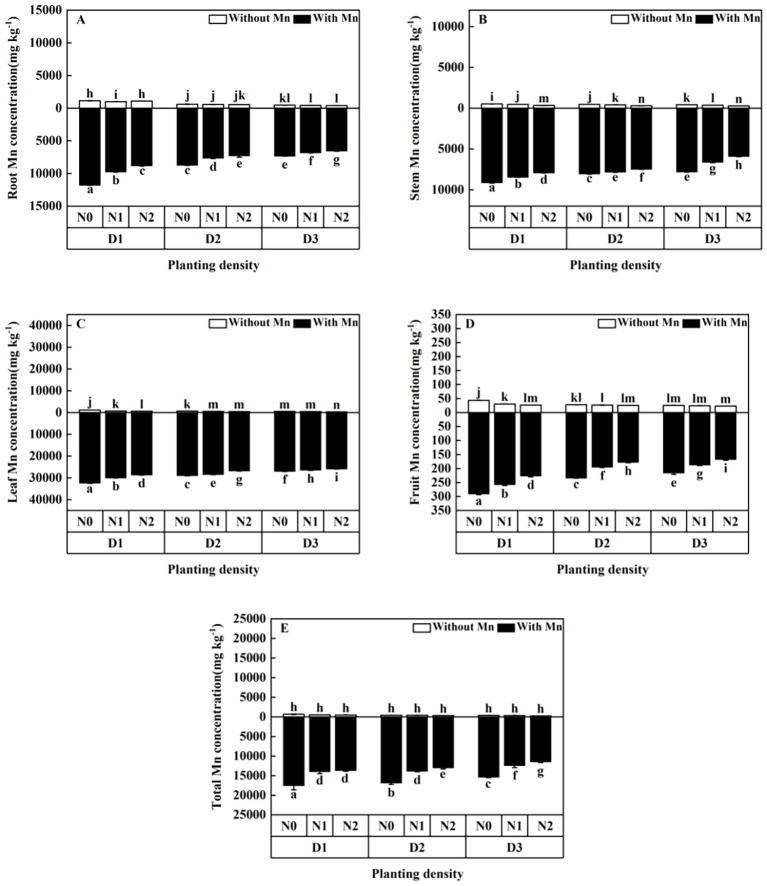 Figure 6