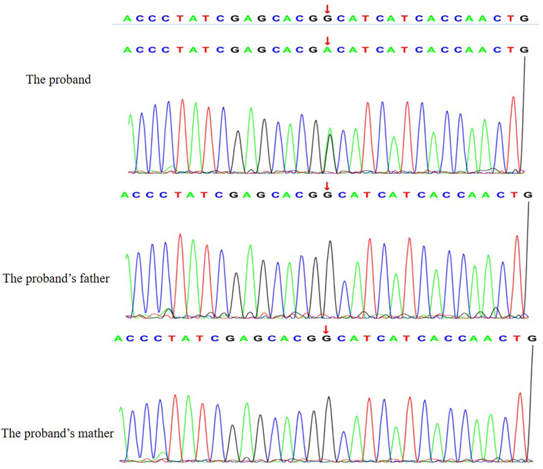 Figure 3