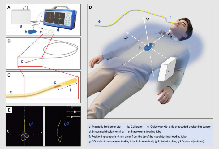 FIGURE 1