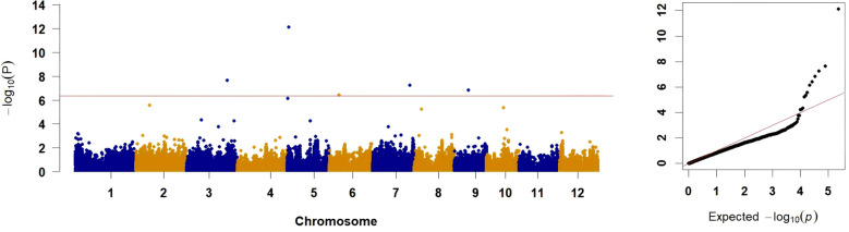 Figure 4
