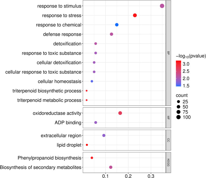 Figure 5