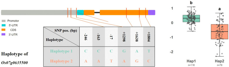 Figure 6