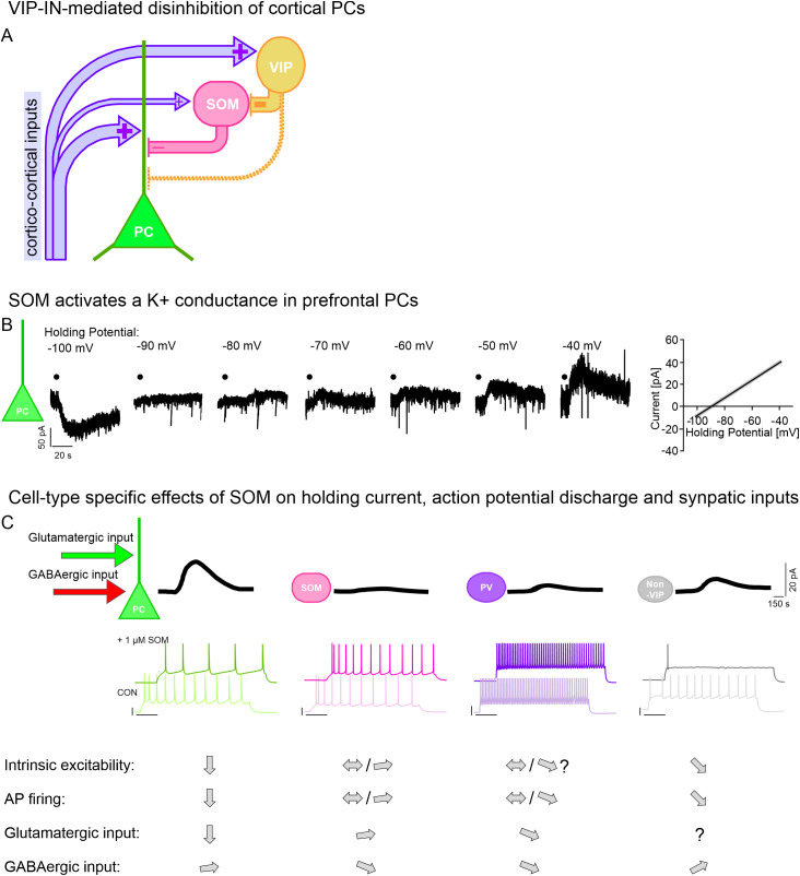 Figure 6