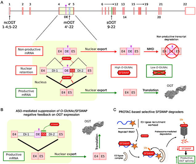 FIGURE 3