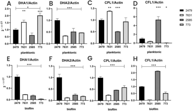 Figure 12