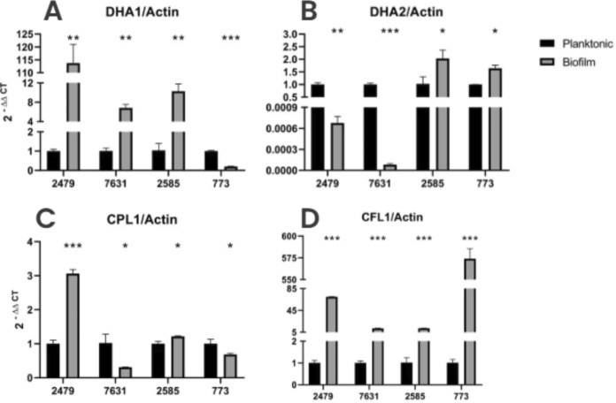 Figure 13