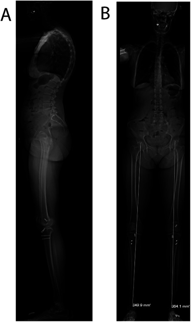 Figure 1