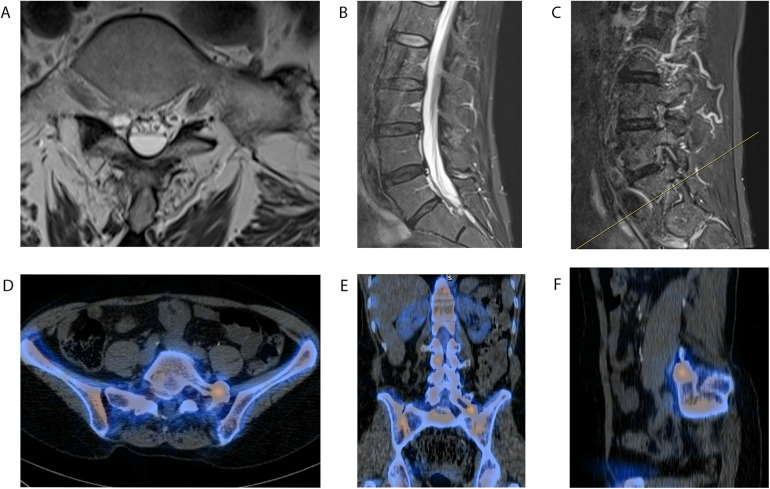 Figure 2