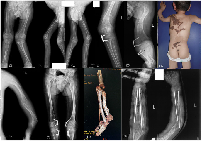 Figure 3