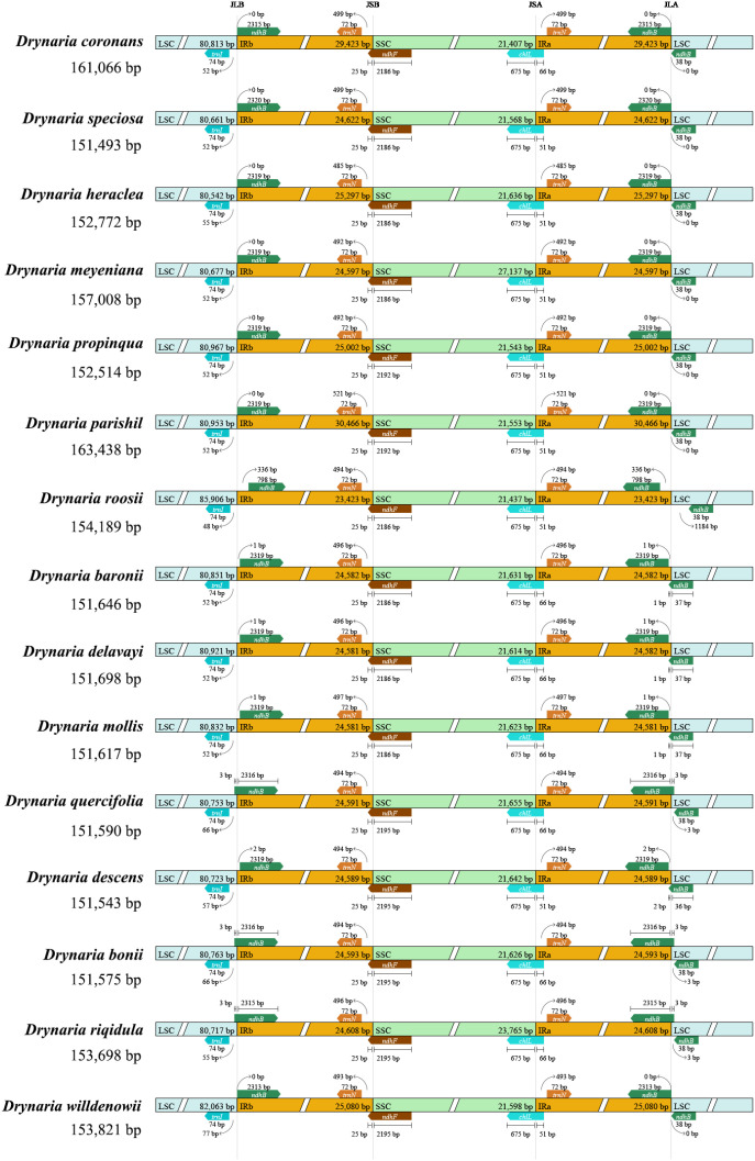 Figure 4