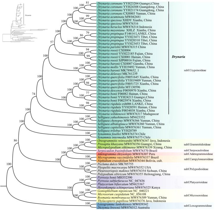Figure 6