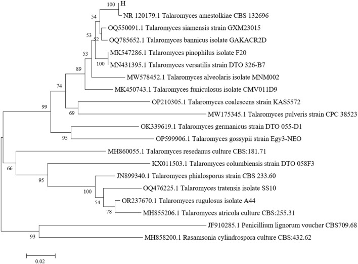 Figure 3
