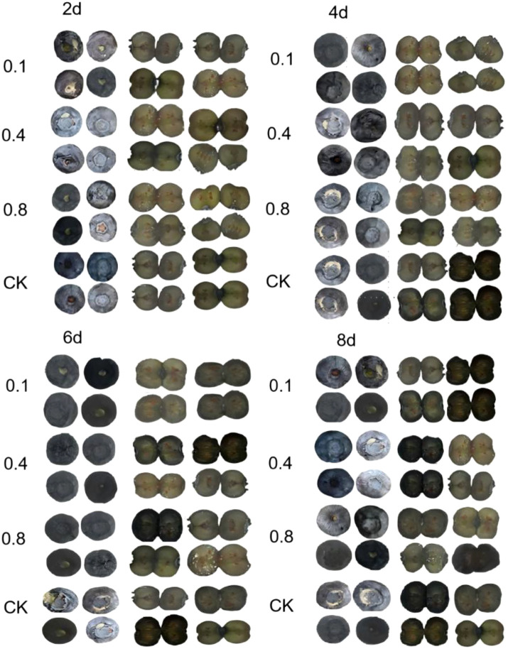 Figure 4