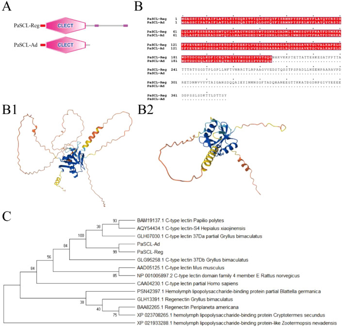 Figure 1