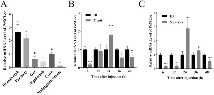 Figure 2