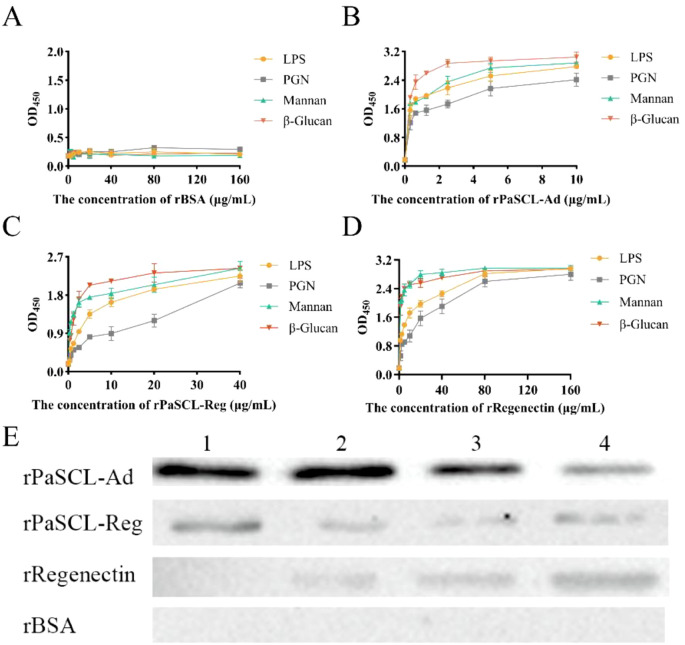 Figure 4