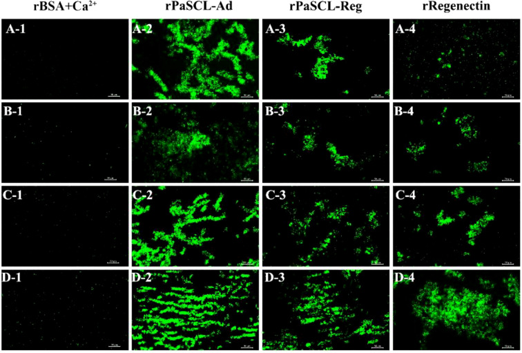 Figure 5