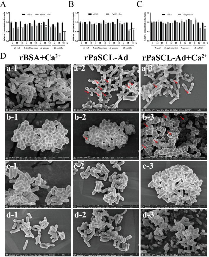Figure 6