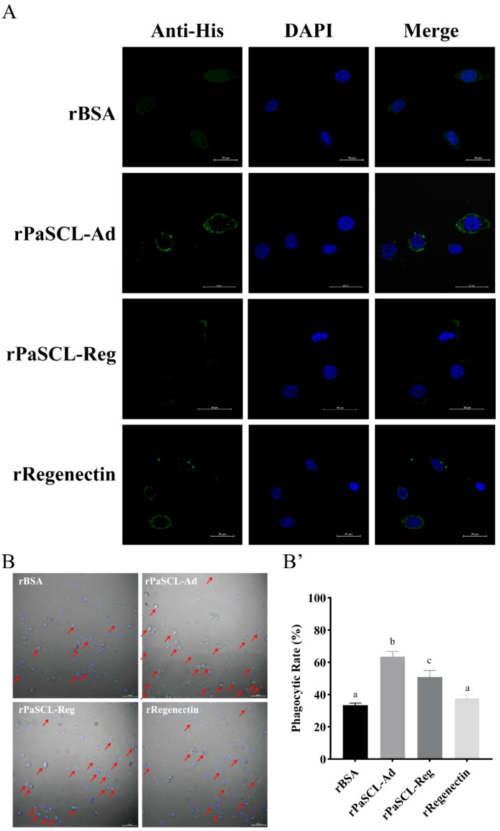 Figure 7