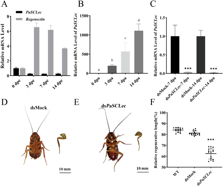 Figure 10
