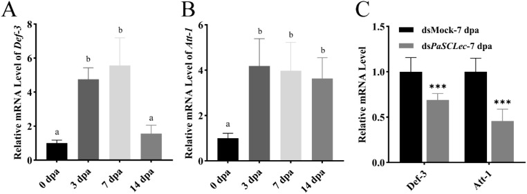 Figure 11