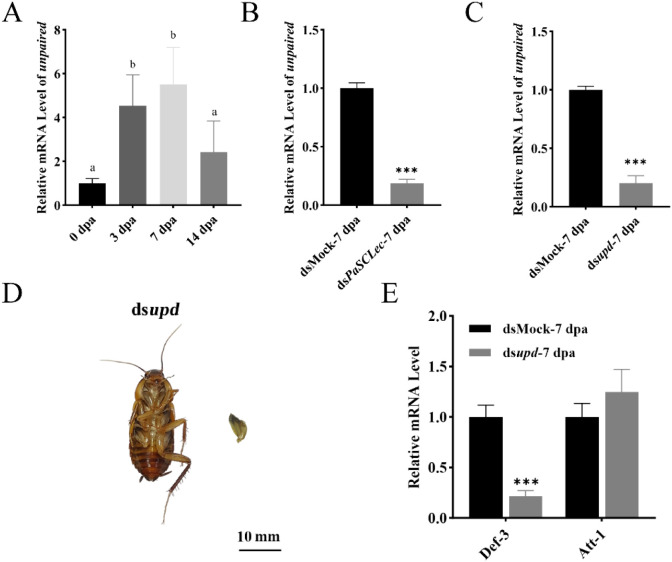 Figure 12