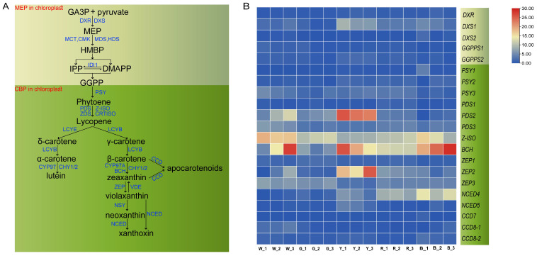 Figure 5