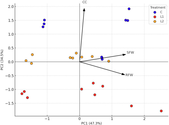 Figure 6