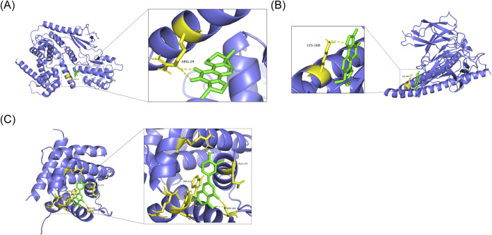 FIGURE 13