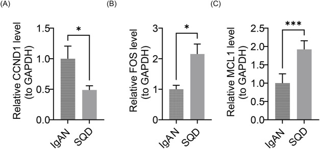 FIGURE 14