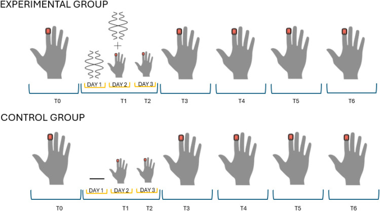 Figure 1