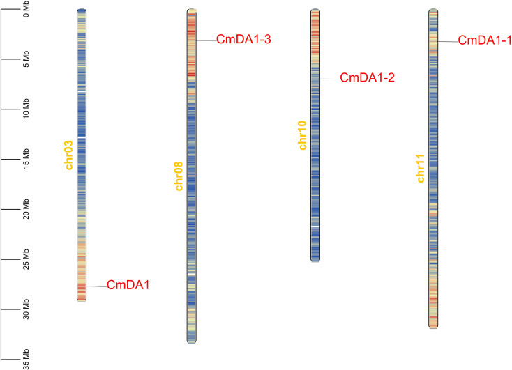Figure 1