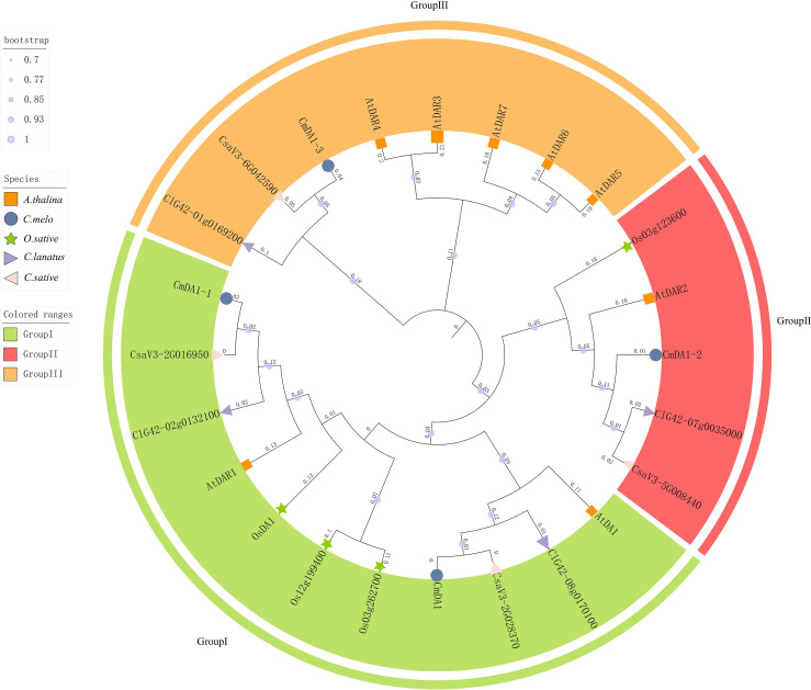 Figure 2