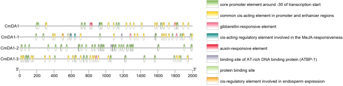 Figure 6