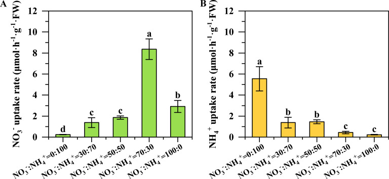 Figure 5