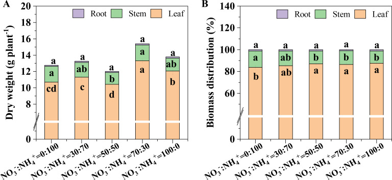 Figure 6