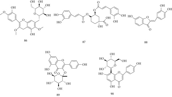 Figure 20
