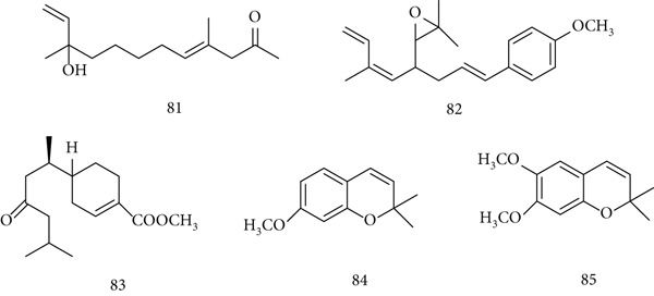 Figure 19