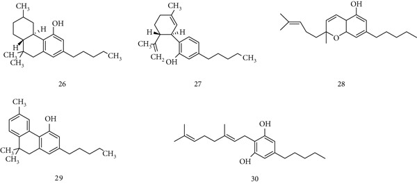 Figure 8