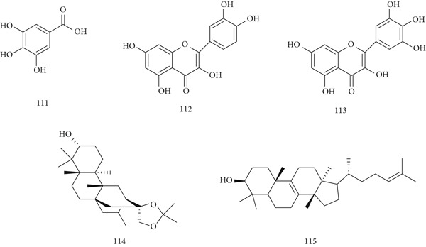 Figure 25