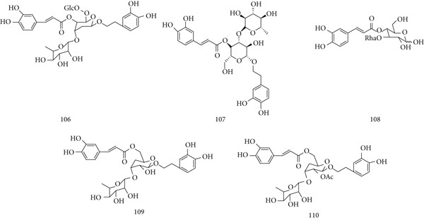 Figure 24