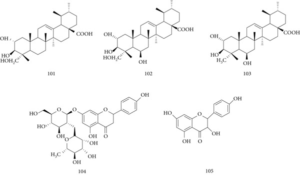 Figure 23