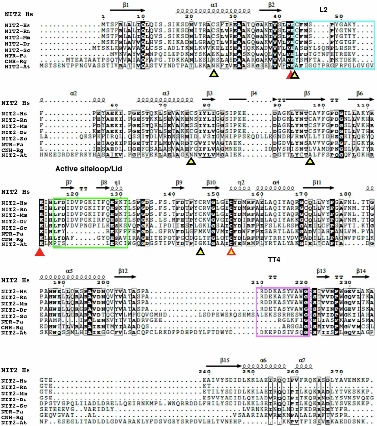 Figure 14