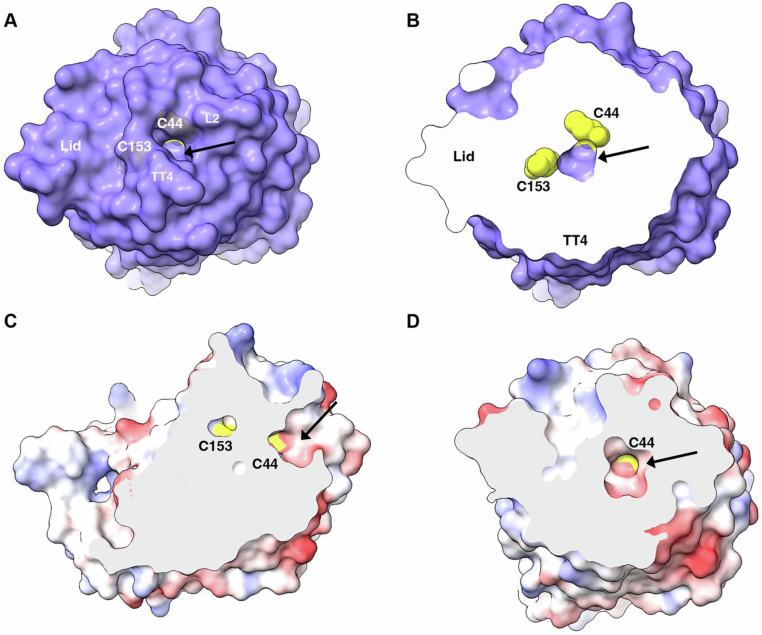 Figure 16
